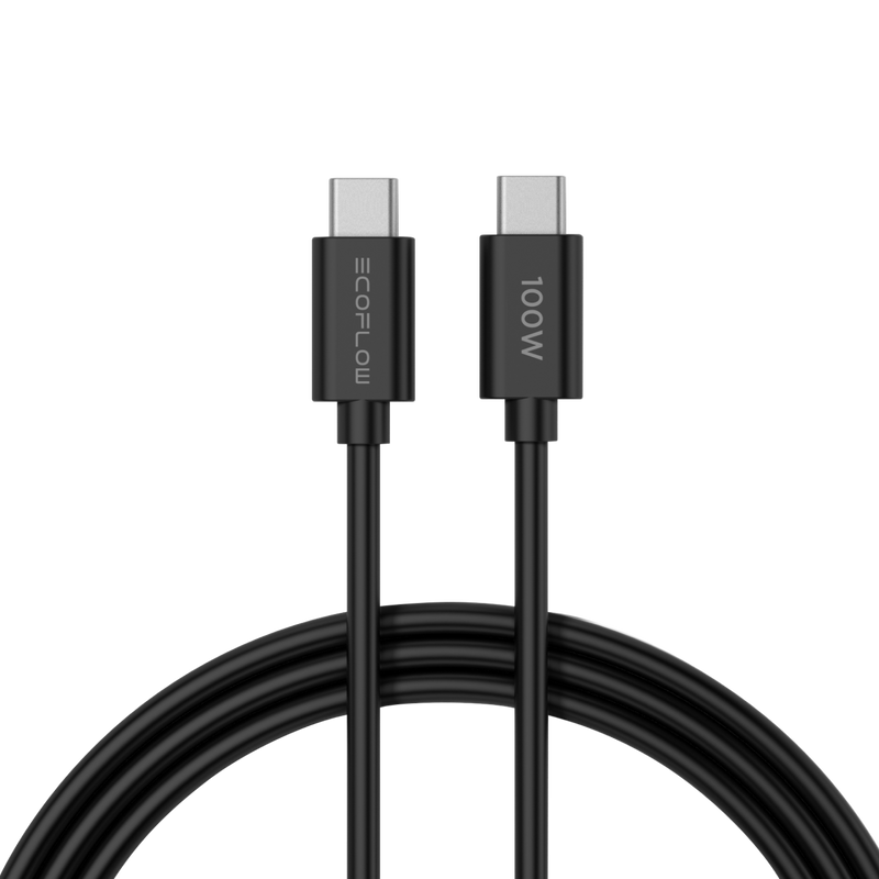 Load image into Gallery viewer, EcoFlow RAPID 65W GaN Charger