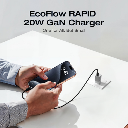 EcoFlow RAPID 20W/65W GaN Charger with 60W Cable