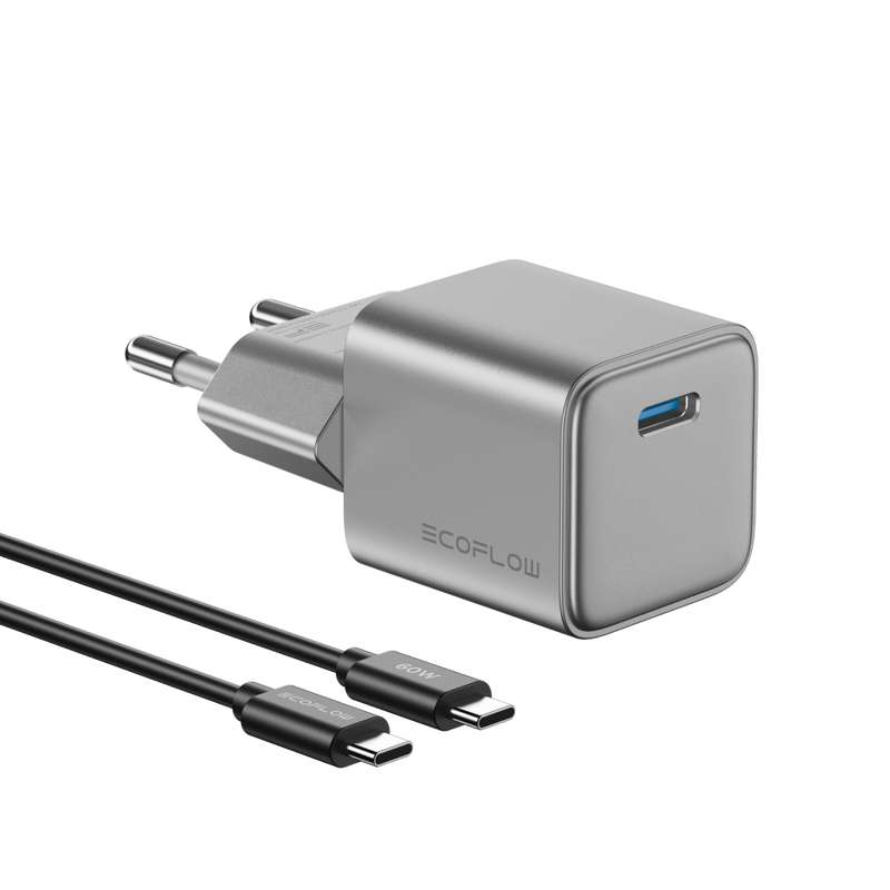 Load image into Gallery viewer, EcoFlow RAPID 65W GaN Charger
