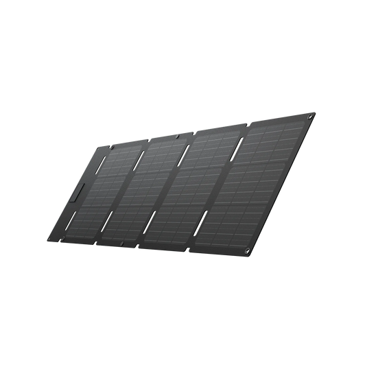 🎁 EcoFlow 45W Portable Solar Panel (100% off)
