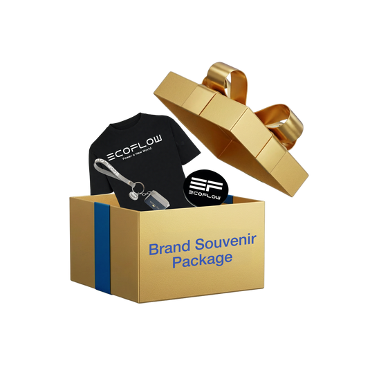EcoFlow Brand Souvenir Package