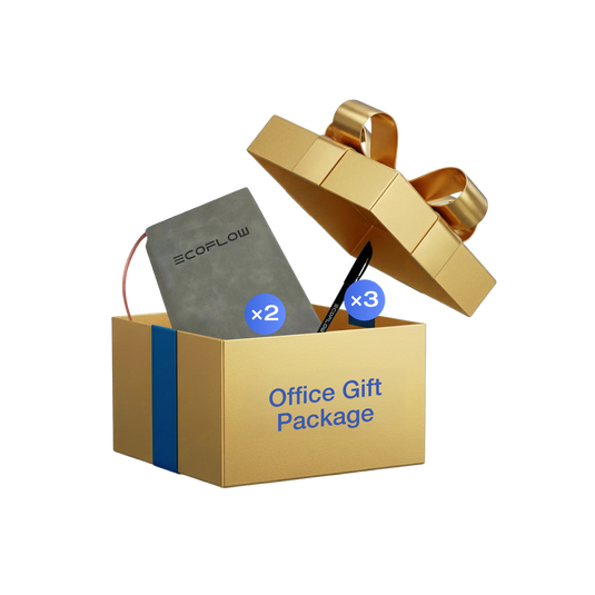 🎁 EcoFlow Office Gift Package (100% off)
