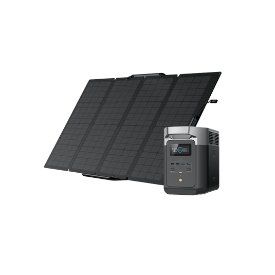 EcoFlow DELTA 2 960 Portable Power Station