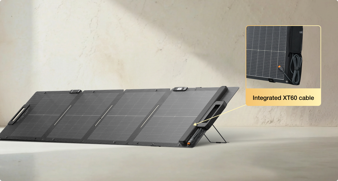 https://za.ecoflow.com/cdn/shop/files/pc-xt60-110w-light.png?v=1773195413&width=1600